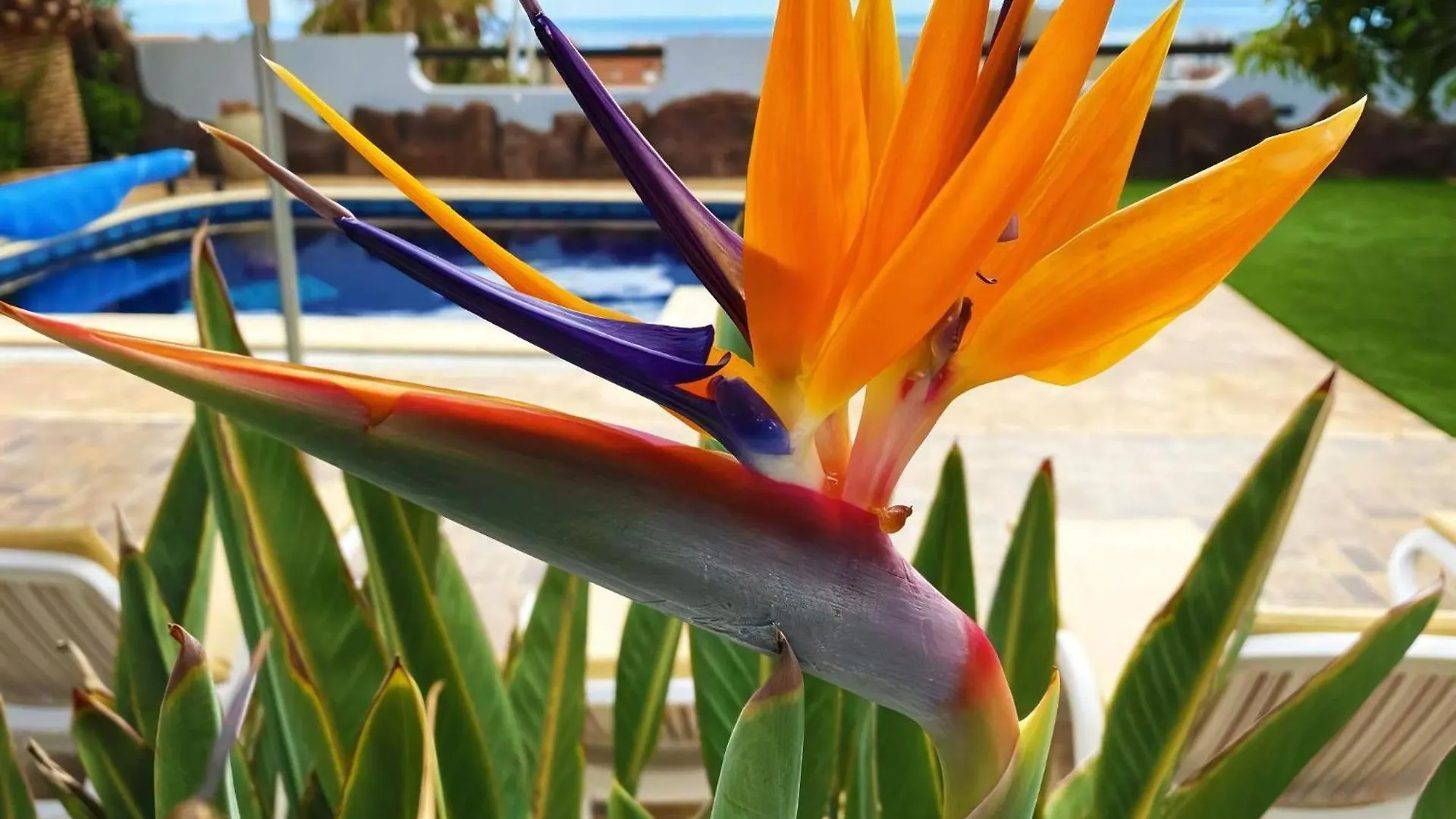 Luxurioese Ferienvilla Fuer Vier Personen Costa Adeje  0*, Costa Adeje (Tenerife) Španělsko